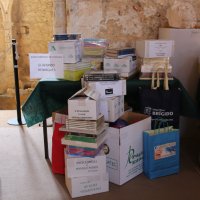 livros afonso henriques